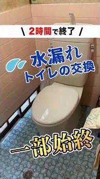 【昭和レトロ】床がタイルのトイレ交換作業