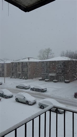 #trendingvideo #snow #foryoupage #viral #f ❄️☃️ | snow video