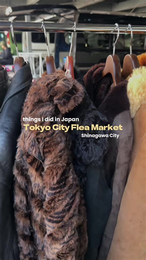 Exploring Tokyo City Flea Market: Things to Do in Japan