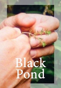 Black Pond streaming: where to watch movie online?