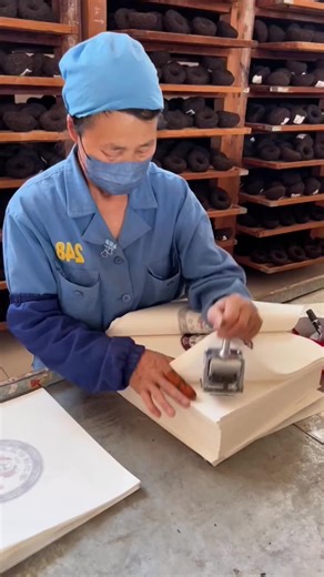 Fastest Workers: Speed and Efficiency in Action