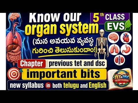 5th Class EVS Organ System 🔥 TET & DSC Important Bits | Telugu + English | New Syllabus