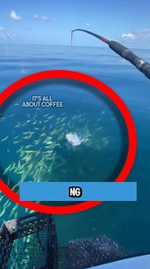 Para itong Minecraft fishing farm na ginawa sa totoong buhay | It's all about Coffee