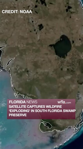 A large wildfire burning at a south Florida wildlife preserve was captured by a NOAA satellite. https://www.wfla.com/news/florida/watch-satellite-captures-25000-acre-wildfire-at-south-florida-swamp-preserve/ | WFLA News Channel 8