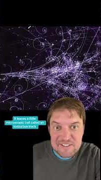 Bubble chambers: practical effect particle physics!