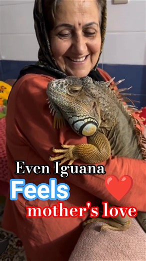 "Heartwarming Iguana Friendship with Mother | Love and Maternal Bond in the Wild"