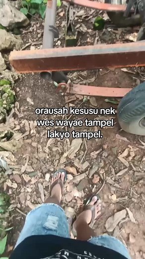 lhyoo#tongklektuban #tongkleklamongan #oklikbojonegoro #njdofficial