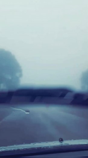 മുന്നിൽ പോയ ബൈക്ക്കാരൻ വഴി കാട്ടി തന്നു😆കോട മഞ്ഞിൽ ഓഹോയി #സാധാരണക്കാരൻ #സാധാരണക്കാരൻ #fyp #foryoupage #foryou #nellika #kattankappi