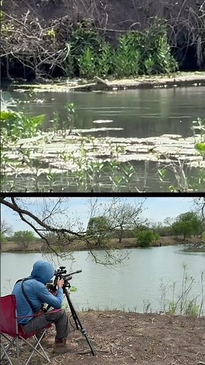 Andy’s Epic Turtle Hunt with Black Wolf! 😎