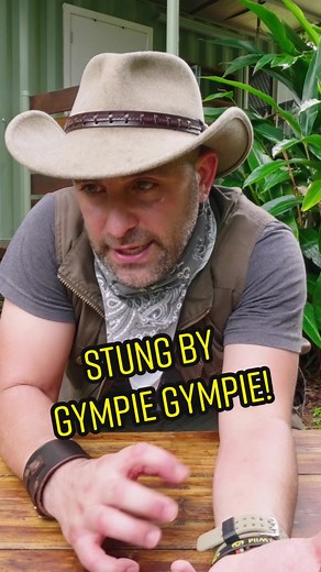 What happens when you get STUNG by the Gympie Gympie! Full episode live now on the Brave Wilderness YT 🔗 on my profile