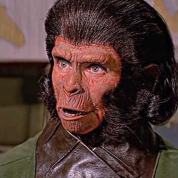 This ape could talk, and humans couldn’t believe it #movie #shorts #viralvideo