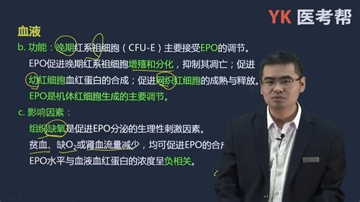 02.红细胞（功能、生成所需物质及生成的调节、破坏）、血小板（生理、生理性止血、血液凝固基本步骤）