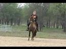 Gaited Peruvian Paso Dressage Horse Demonstration