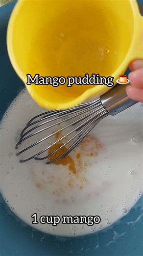 mango pudding recipe