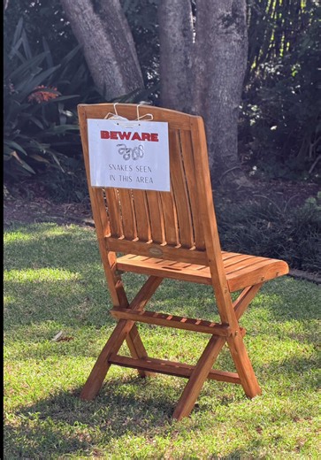 Discover Life in Australia: Snakes and Scenic Views