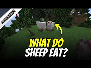 What Do Sheep Eat in Minecraft