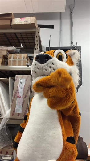 Go tigers I guess 😛 - this was for gits and shiggles #foryou #funny #mascot #whydidivolunteer #blowthisup