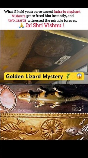 The Mystery of the Golden Lizards|Varadaraja Perumal Temple Kanchipuram #sanatandharma #spirituality