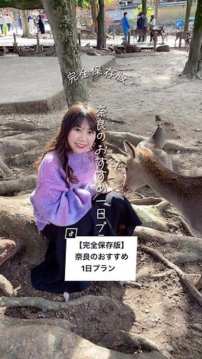 奈良のおすすめ1日プランと観光スポット