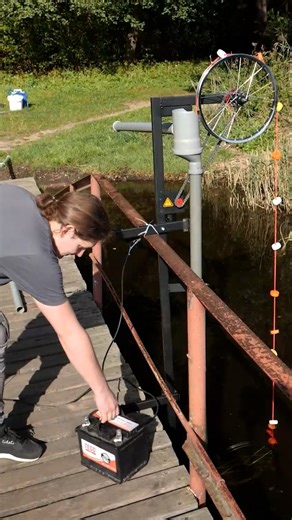 2.3M views · 7K reactions | How to solar power your water pump | Bored Panda Art | Facebook