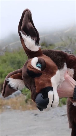 I made a life size deer doe plushie