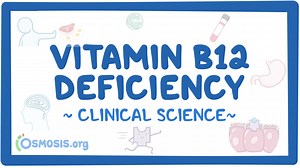 Vitamin B12 deficiency: Video & Meaning | Osmosis