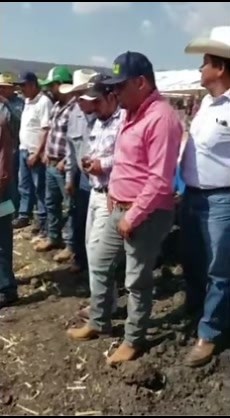 Videos de Agricultura y Ganaderia🤠 (@agriganado) con “sonido original - Agricultura y Ganaderia🤠”