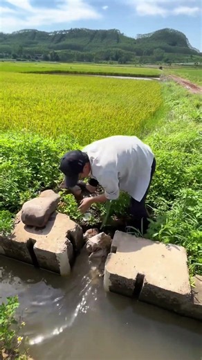 Irrigation Canal Damming Technique | 水路堰止めの手法 | 수로 제방 보수 기술