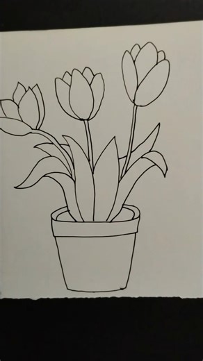 Beautiful Flower plant drawing tutorial #art #aestheic #foryou #flowerdrawing