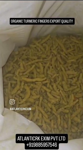 🌿 ORGANIC TURMERIC FINGERS & POWDER – PURE GOLD OF INDIA 🌿