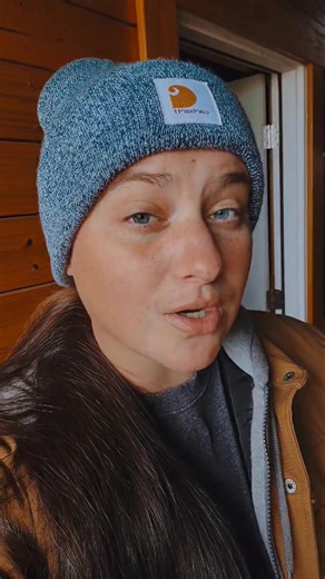 11K views · 677 reactions | Quick update 冀 | Blue Pine Quarter Horses | Facebook