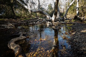 Los Penasquitos Canyon Trail Guide | Outdoor SoCal
