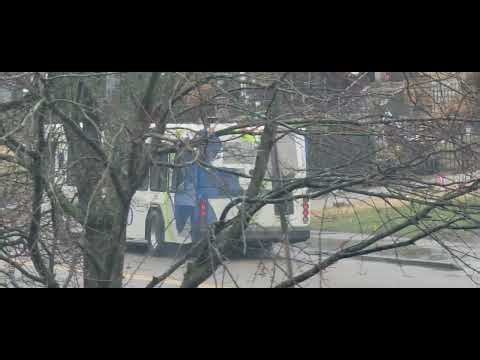 Cincinnati Metro 2018 Gillig Low Floor #1813