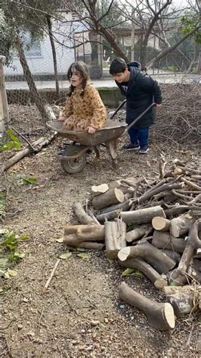 Bahçe kazaları | El arabası devrilirse 😂