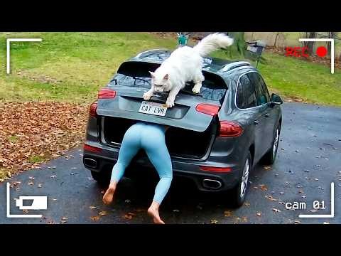 CAUGHT IN 4K! THE FUNNIEST SECURITY CAMERA FAILS