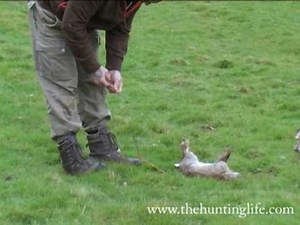 Rabbit Snaring - PegandGun Part 3