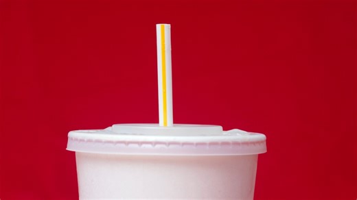 Single-use plastic bans ‘not impractical’ in states