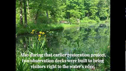 1.1K views · 39 reactions | The Little Things of Mill Creek Park: The Lily Pond Meet Cindy, the MetroParks’ Education Manager, as she hosts a video series about little things discovered in Mill Creek Park. “The Little Things of Mill Creek Park” will feature various objects from your very own Mill Creek Park with a few facts to help you learn along the way. Enjoy! | Mill Creek MetroParks | Facebook