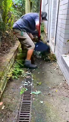 🌳The Ultimate Pressure Washing & Lawn😍 Care #Yardwork #lawncare #pressurewashing #Fblifestyle | Beautiful Yard Grass