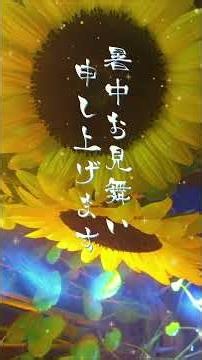 暑中見舞い動画 ♥34♥暑中お見舞い申し上げます♥ひまわりとめだか♥#shorts