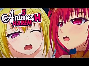 5 ANIMES H con HAREM