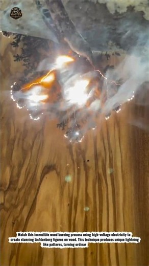 Amazing Lichtenberg Wood Burning Process | High Voltage Electricity Art on Wood ⚡🔥