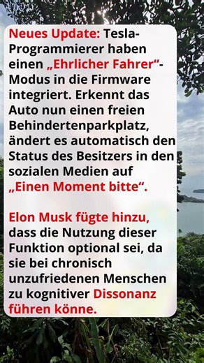 Über Tesla und den neuen Autopiloten #witzekanal #witzig #flachwitz