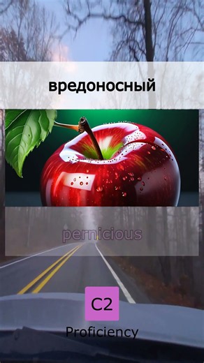 💼 Для работы и учебы: Как Носитель (13 September 2026)