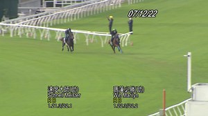 8.9K views · 85 reactions | 浪琴香港瓶 「瑪蓮必勝」（日本）於草地快試千二米，以1分21.3秒完成，分段時間為32.9秒、27.2秒、22.2秒。 練馬師手塚貴久的助理練馬師矢嵨大樹說：「馬匹於末段有認真加速快試，時速比預期快，因此可推論牠可以適應這場地。一切進展良好無瑕疵，備戰表現出色。」 #HKIR | 超班馬簿 HK Racing Post | Facebook