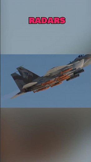 Su-57 : l’avion algérien qui gère l’information mieux qu’un ordinateur #algerie #su57