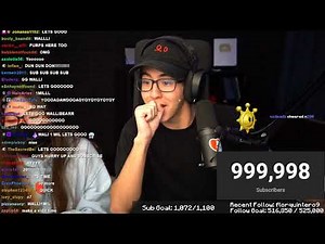 WALLIBEAR HITS A MILLION SUBCRIBERS