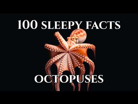 100 Mind-Blowing Facts About Octopuses — The Smartest Creature in the Ocean?