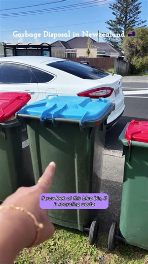 How Garbage Collection Works in New Zealand 😳🇳🇿 | #Shorts