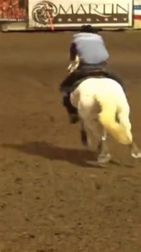 211 reactions · 10 comments | Every year this memory pops up and I have to share ❤️ 8 years ago Sticky Charlee placing 4th at the Greg Olson Friday night open with a 17.3 on a standard. This was a huge deal for a small time barrel racing kids from the Midwest just playing in some AZ dirt over J term with his friends 殺 #barrelracing #stickycharlee #barrelhorse #fyp | Garrett Kerkow | Facebook